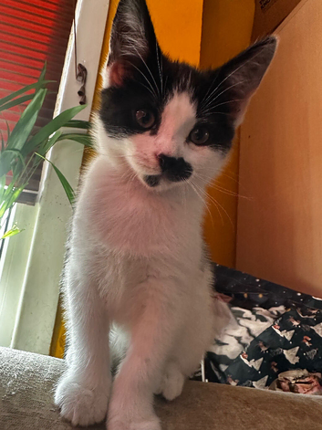 Lovely boy