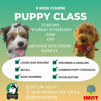 Dog Training classes for all ages