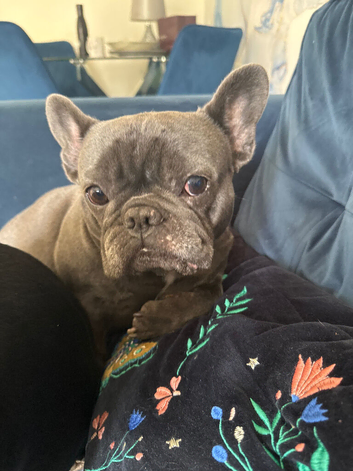 Our little tinny but mighty Betsy
