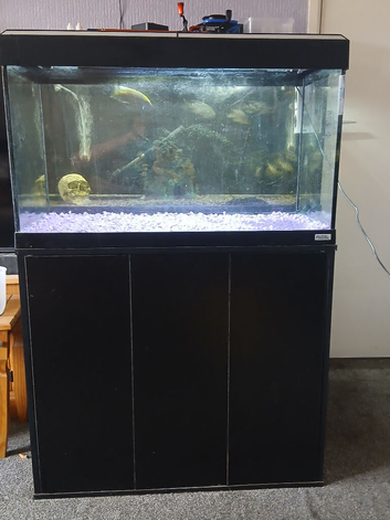 Fluval 125l with Bluetooth light