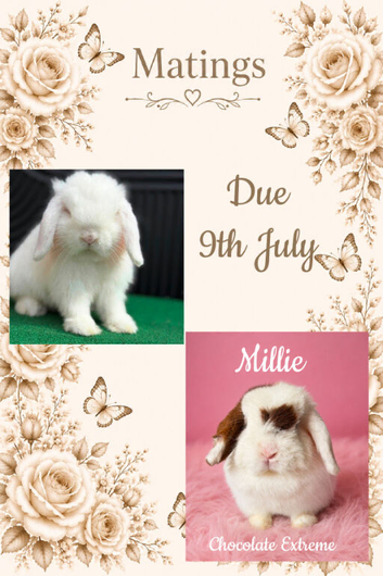 Waiting list OPEN