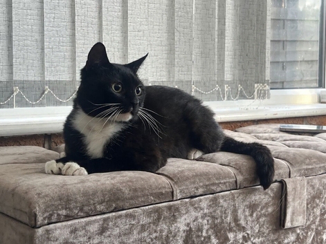 Meet Coco