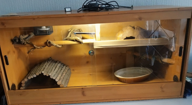 Reptile enclosure