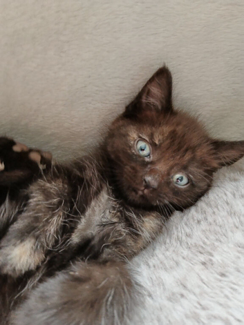 New homes needed asap!