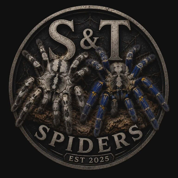 Tarantulas