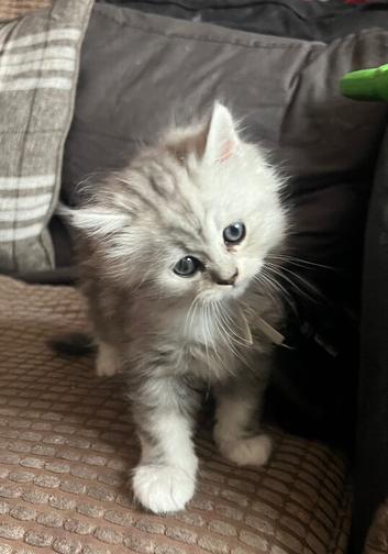 One little boy remaining