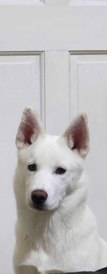 10 month old