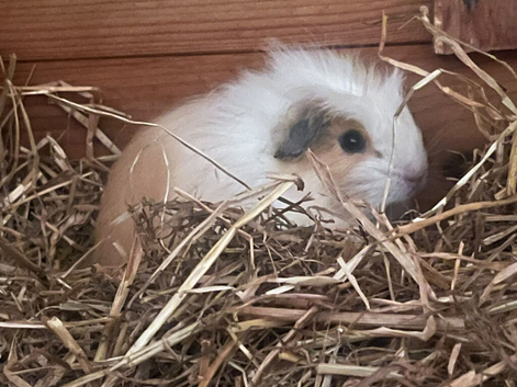 1 cute boy available 28/10