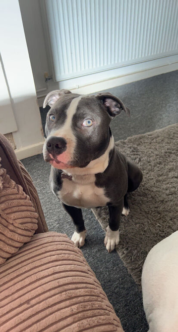 Kali 4 years old