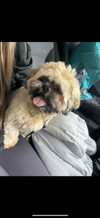 Rico
