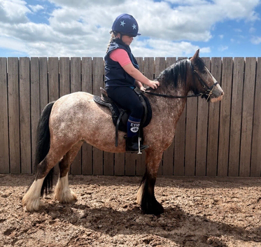 Mega pony!