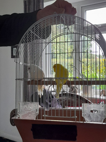 For sale
