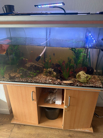 Fish tank, large. Everything included.