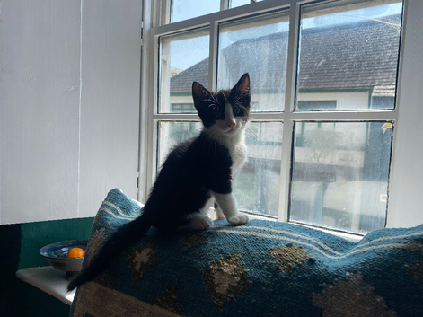 Ready for new homes