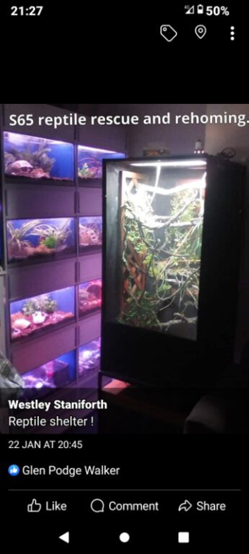 S65 reptile rescue and rehoming