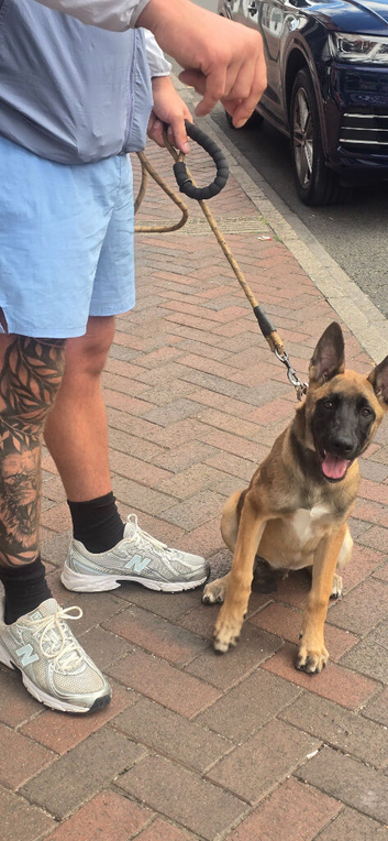 5 month old