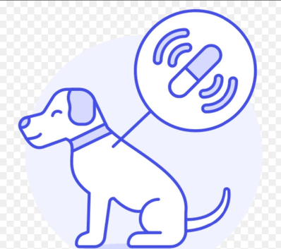 Surrey And Hampshire Pet Microchipping Service