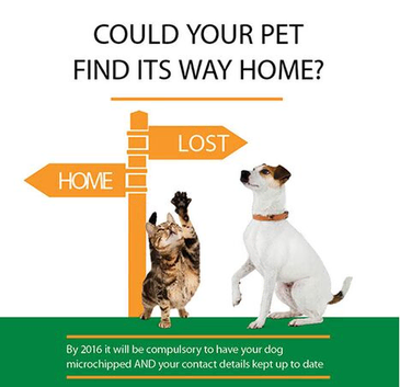 Microchipping your Puppies or Kittens