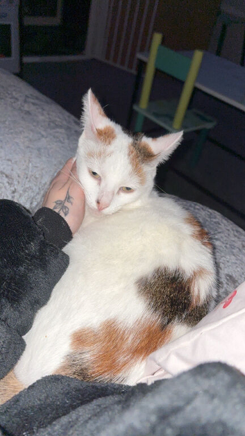 2 year old baby girl