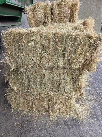 2026 hay/haylage/straw