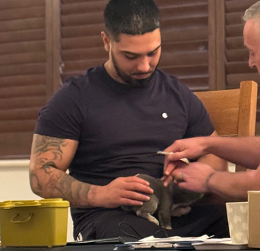 Microchipping welcoming all companion pets
