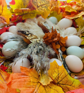 *Hatching Eggs for sale*