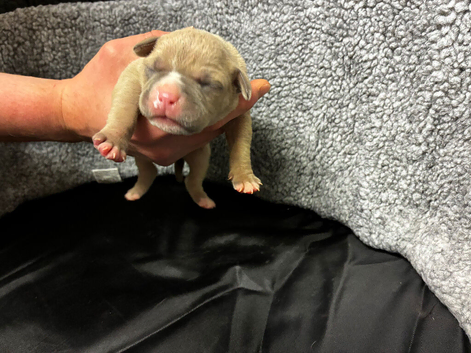 1male and 2girls left