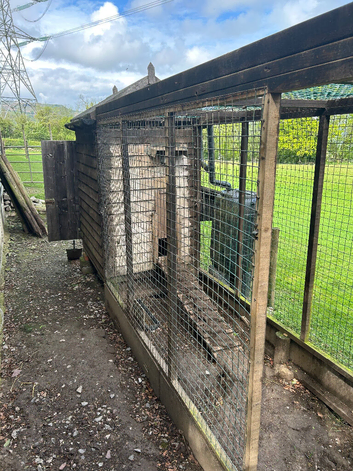 Poultry house and run