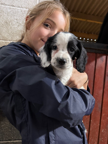 Last boy Cocker spaniel