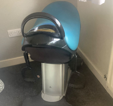 Carl Lewis Mechanical Electric Horse Fitness Trainer