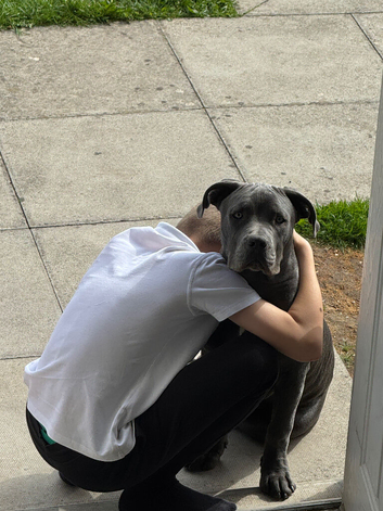 Knox