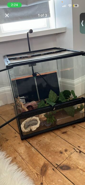 Reptile tank