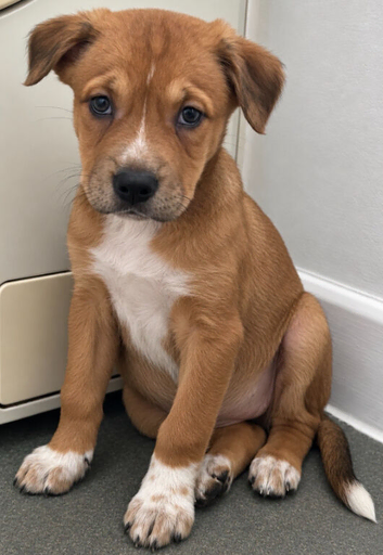 &pound;400 Last Little Girl Ready to Leave Thursday