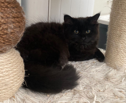 Please give me a home