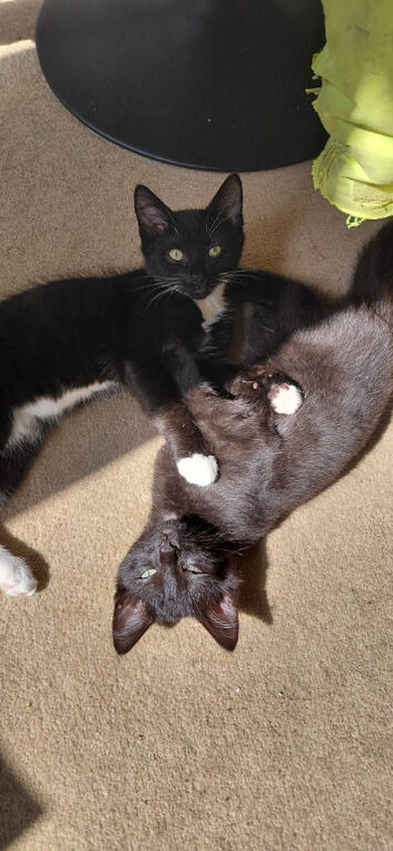 2 beautiful boys