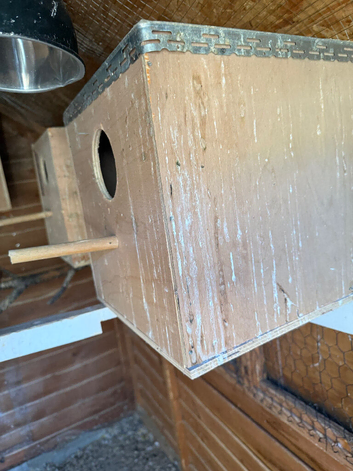 cockatiels birdiang box
