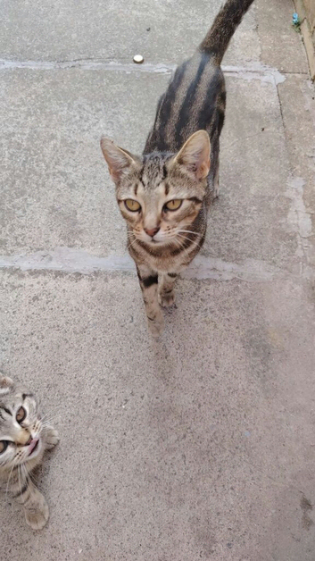 Mother and daughter