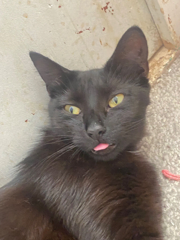 Rosie