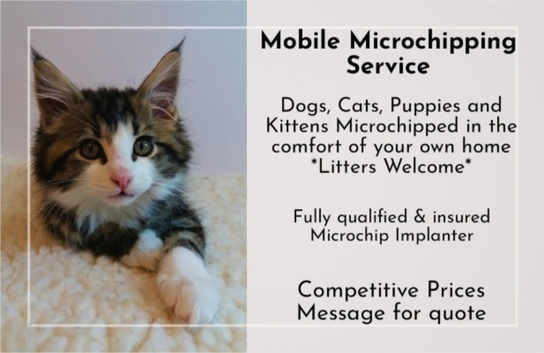 Mobile Microchipping Service - North West Lancashire
