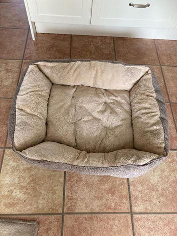 Dog bed