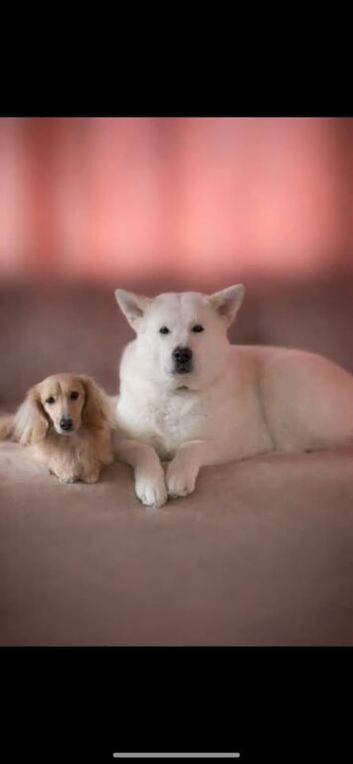 Jake and meeka