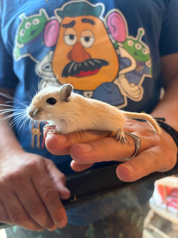 Mum with her Baby Girl with Tank