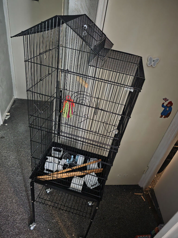 Large tall bird cage and stand
