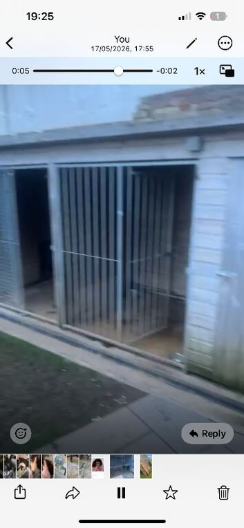 Double dog kennel