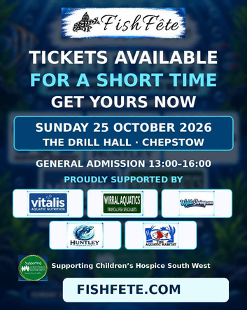 FISHFETE CHEPSTOW October 2026