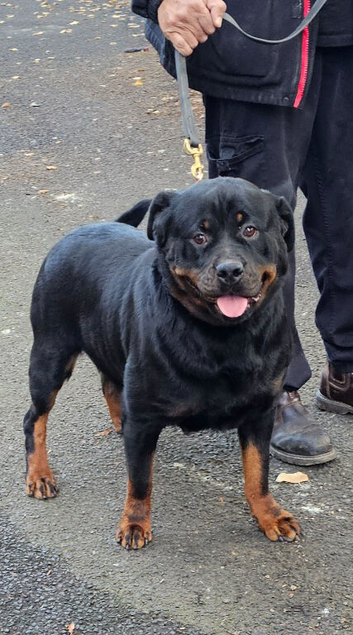 Stunning Female Available