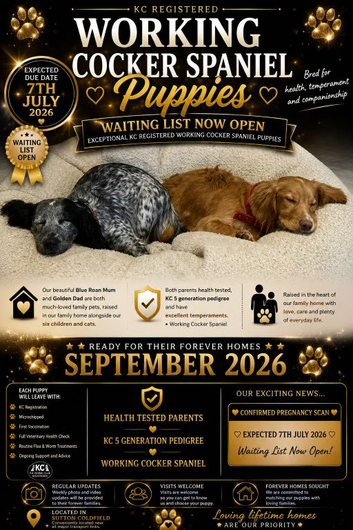 Waiting list open