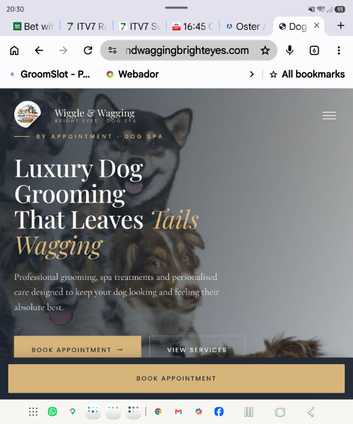 Dog grooming inside Frosts Garden Centre Willington Bedfordshire