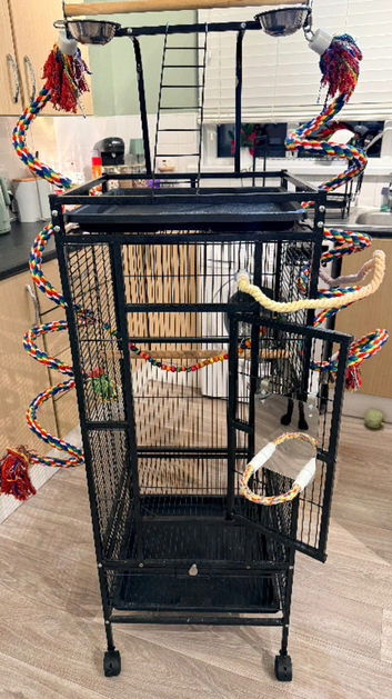 Bird cage