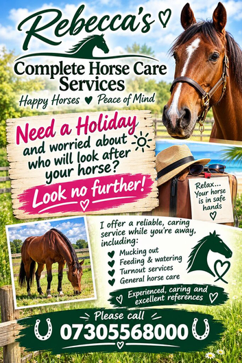 Rebecca's Complete Horse Care Services